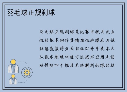 羽毛球正规刹球